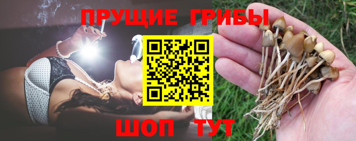 Галлюциногенные грибы Cubensis  Вход с VPN  Южно-Сахалинск 